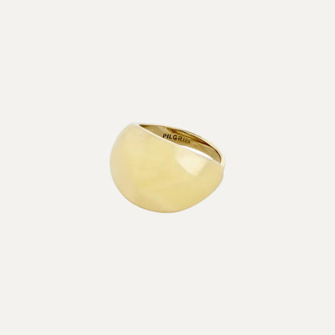 ALEXANE recycled statement ring gold-plated te koop bij Almost Summer Amsterdam 672232004