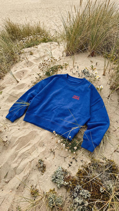 Chaos & Creativity BLUE & RED womens organic cotton sweater