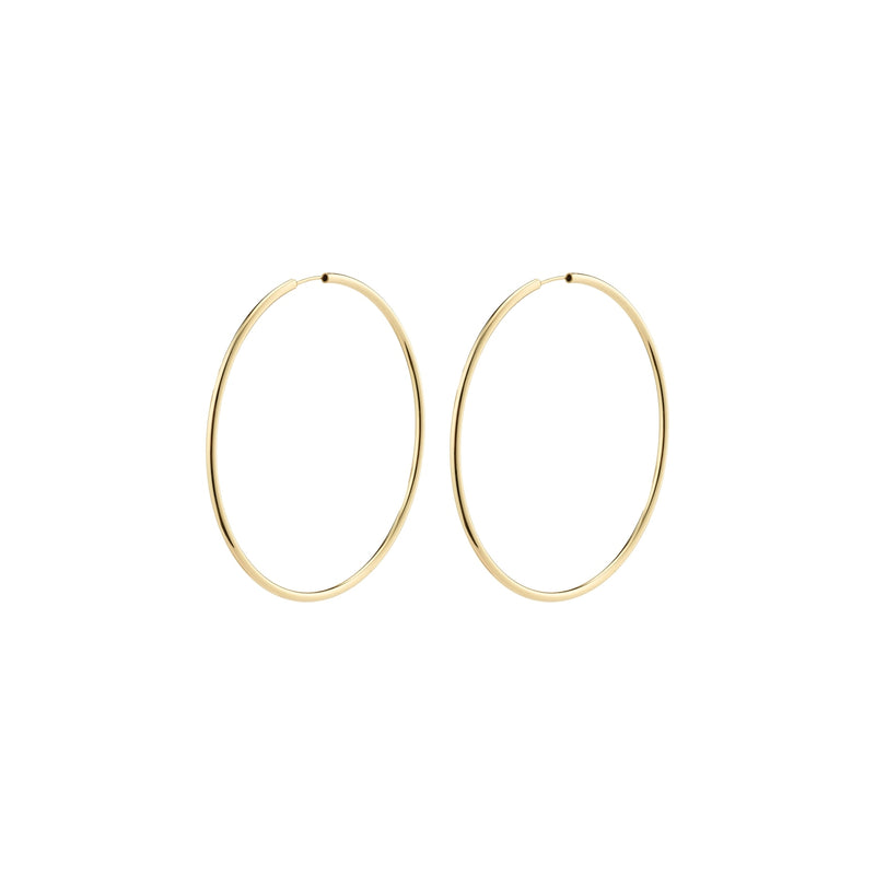 Gold hoop earrings on a white background