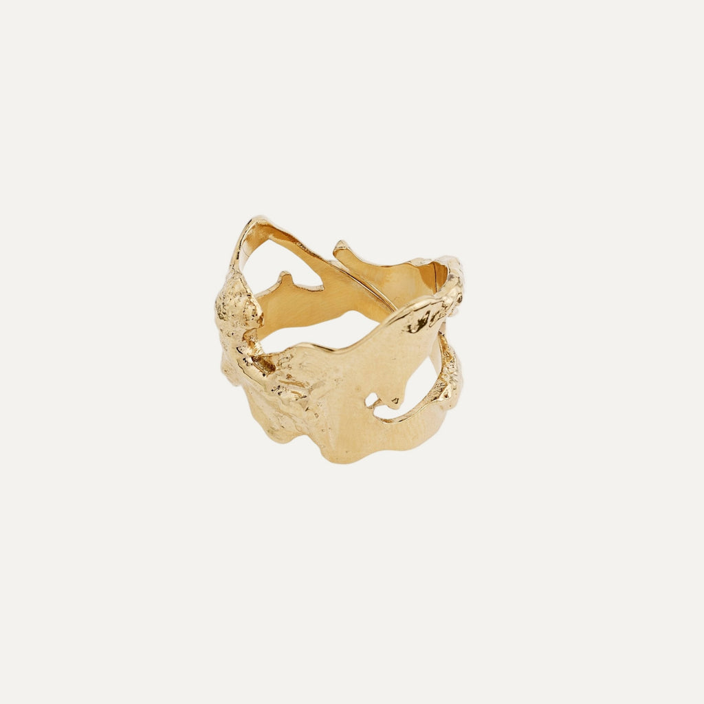 COMPASS organic shaped ring gold-plated