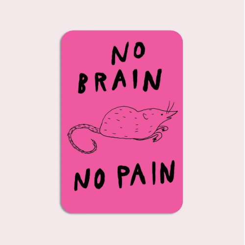 No Brain No Pain Vinyl Sticker te koop bij Almost Summer Amsterdam 10914