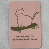 Sk8 Cat Vinyl Sticker te koop bij Almost Summer Amsterdam 10837