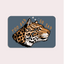 too-bad-leopard te koop bij Almost Summer Amsterdam 10225