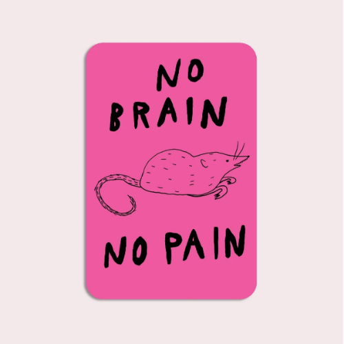 No Brain No Pain Vinyl Sticker
